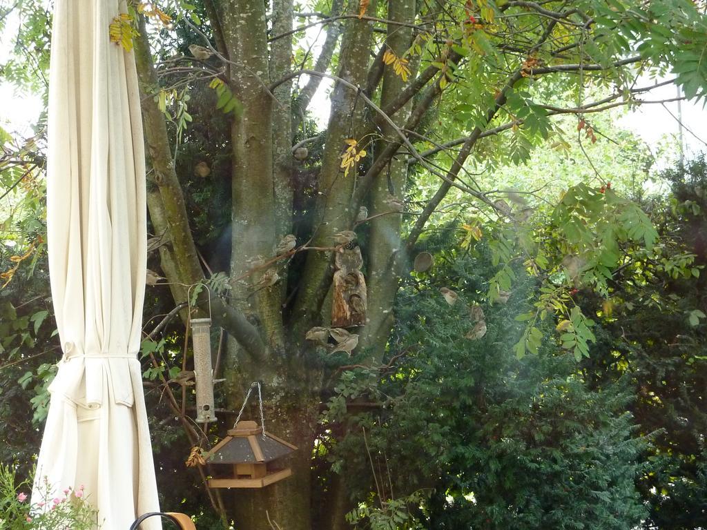 Ferienwohnung Schwarzwald light Freudenstadt Exterior foto